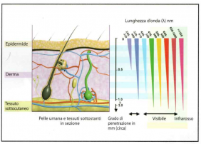 Penetrazione della luce nell'epidermide