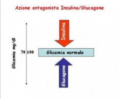Glicagone - Insulina